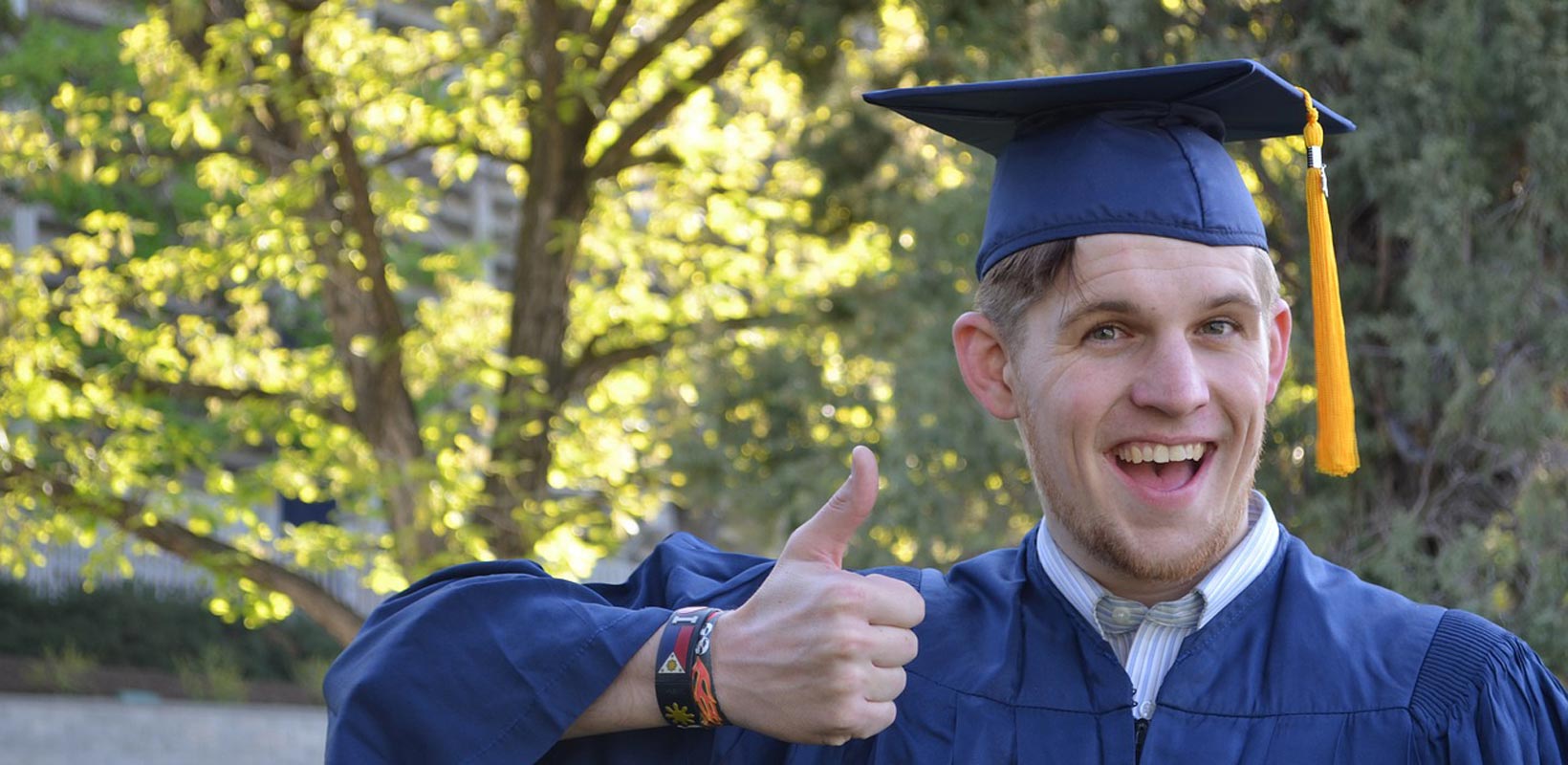 绿色轰炸工具版